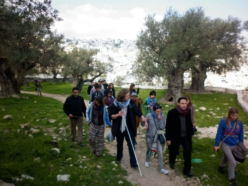 Tel-Rumeideh Neighborhood: land under threat of confiscation